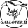 Galloper